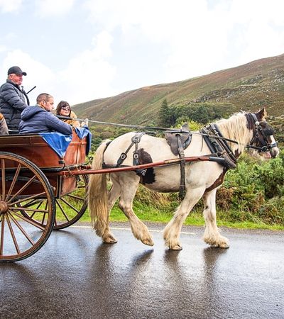 Three people riding a horse and carriage